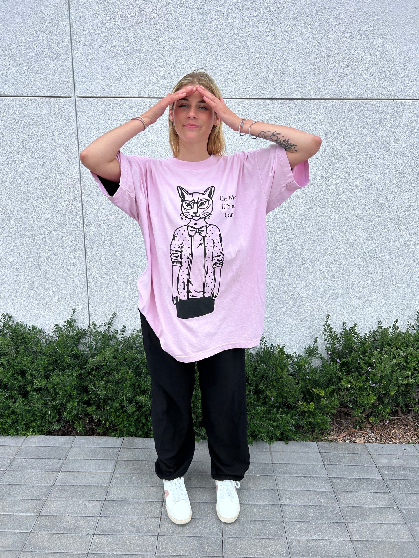 Cat Me If You Can